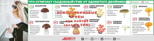 тгк Абаза