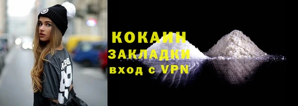 тгк Абаза