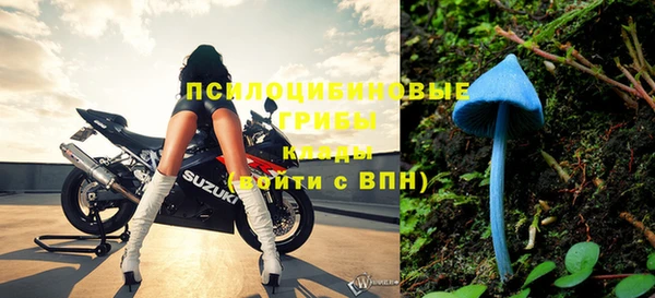 ешки Абинск