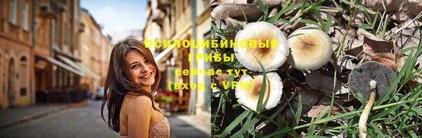 ешки Абинск