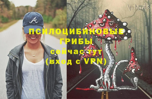 стаф Нягань