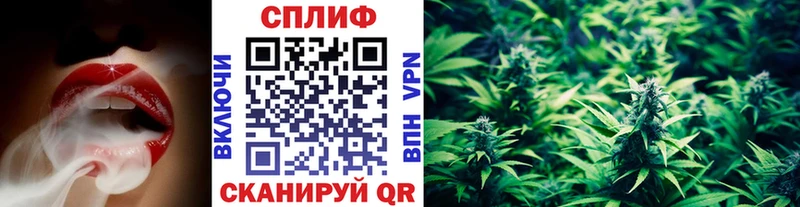 Каннабис ГИДРОПОН  продажа наркотиков  Урус-Мартан 